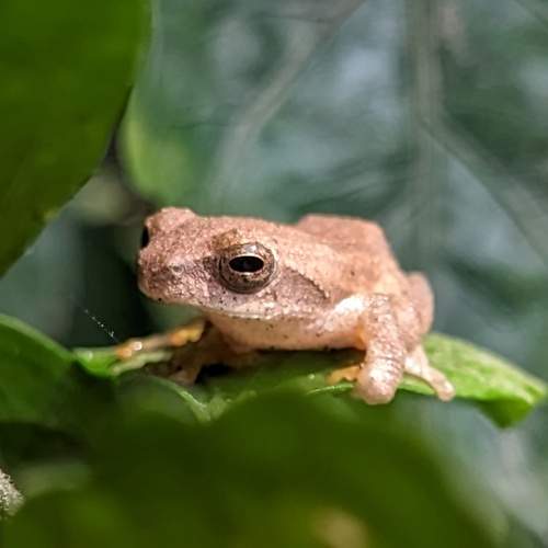 Photo #12043506