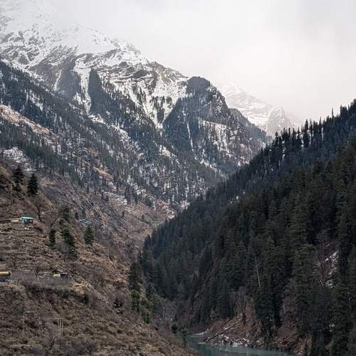 Photo #12043539
