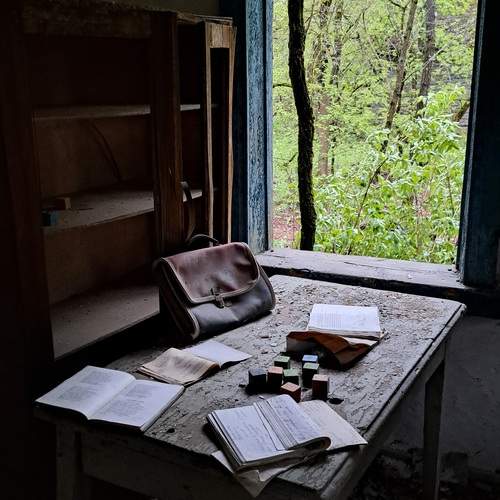 Photo #12043761