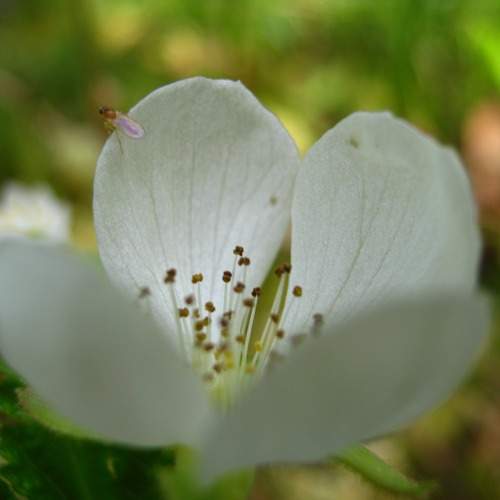 Photo #12044009