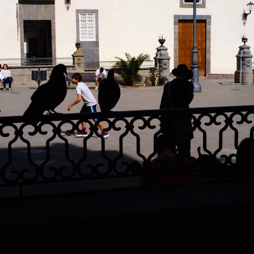Photo #12044081