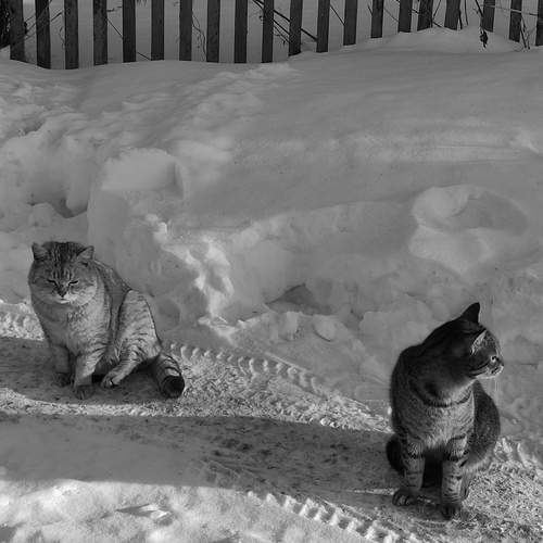 Photo #12044152