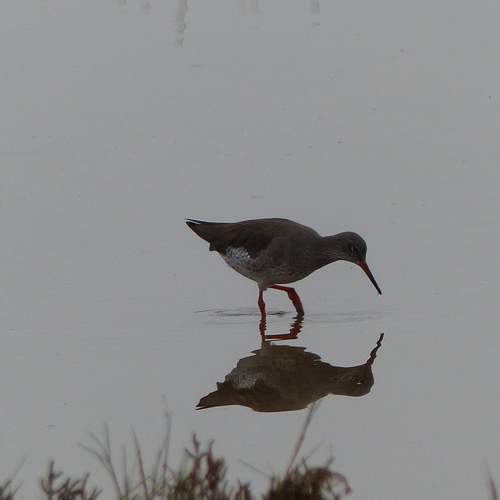 Photo #12044272