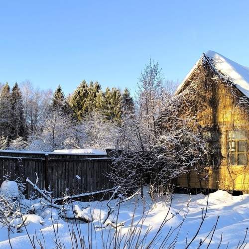 Photo #12044412