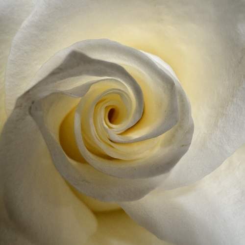 Photo #12044491