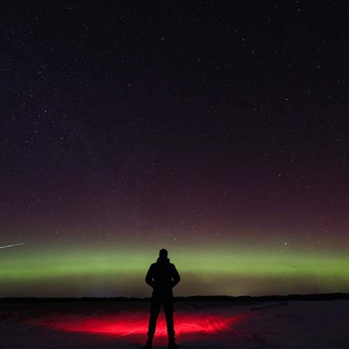 Photo #12044529
