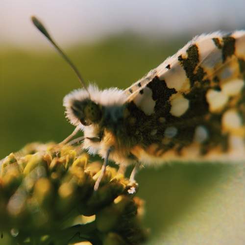 Photo #12044539