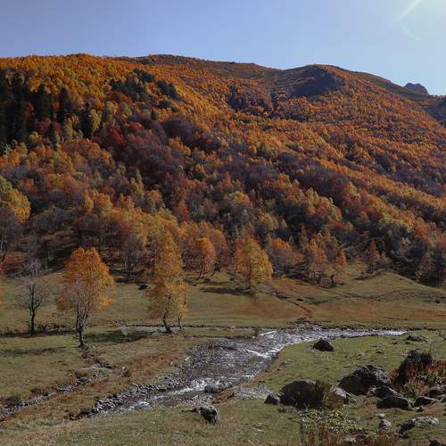 Photo #12044557