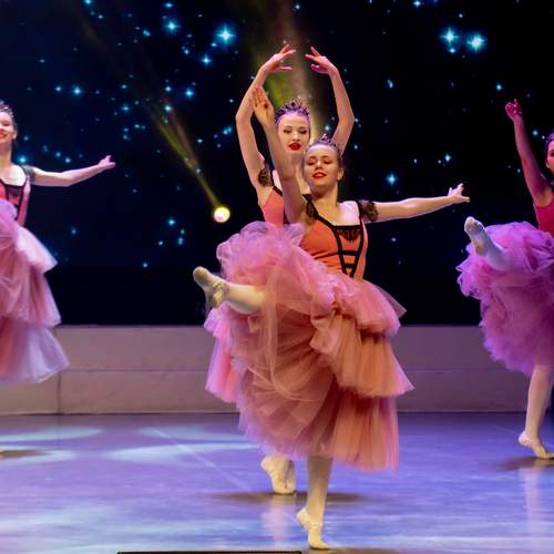 Photo #12044583