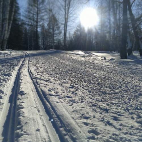 Photo #12044787