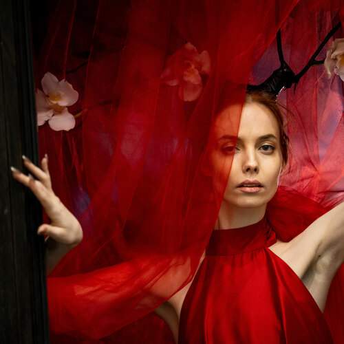 Photo #12044798