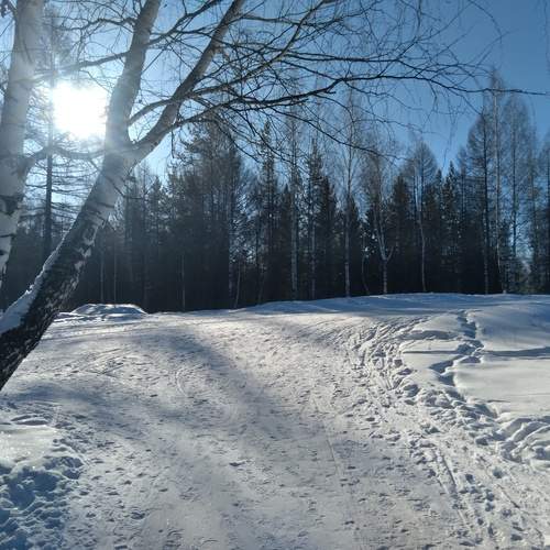 Photo #12044804