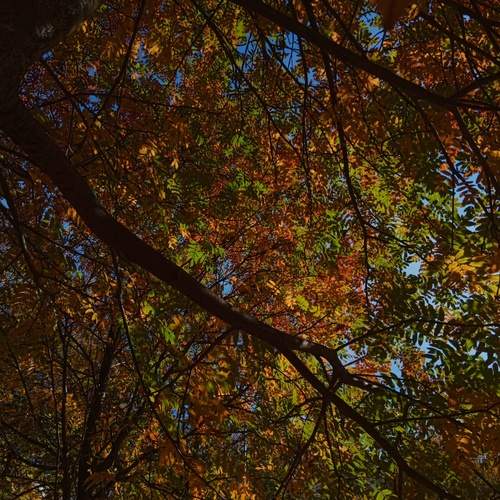 Photo #12044811