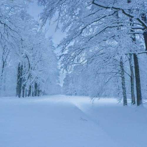 Photo #12044922