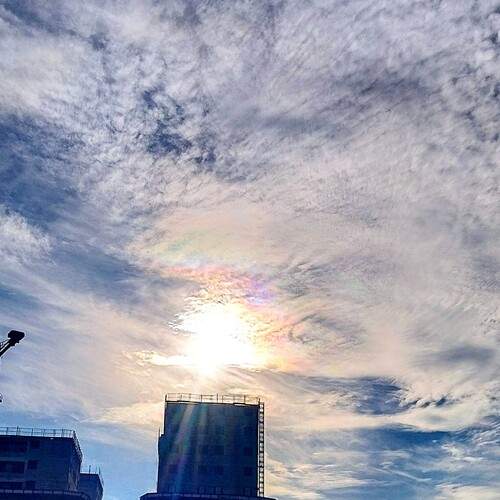 Photo #12045042