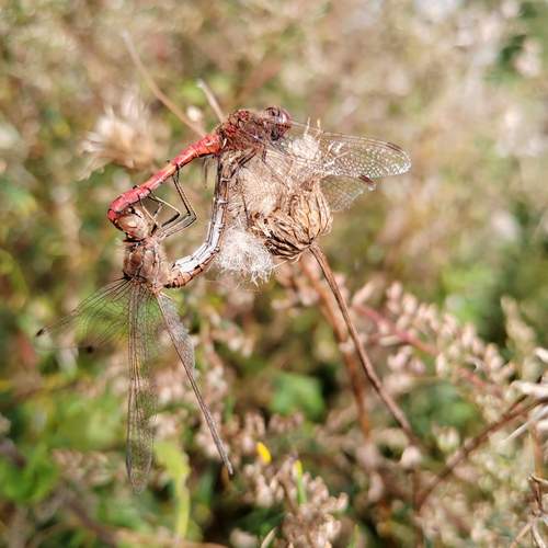 Photo #12045399