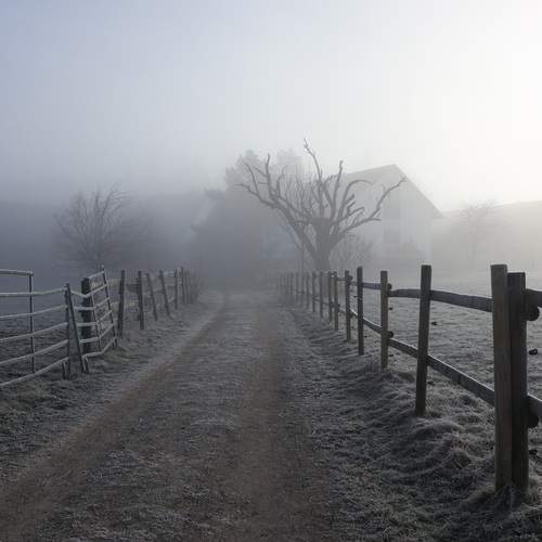 Photo #12045538