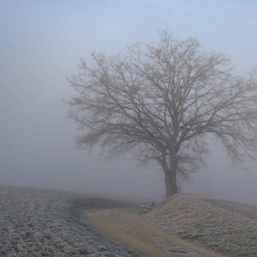 Photo #12045539