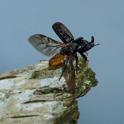 Photo #12045639