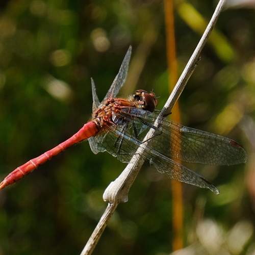 Photo #12045899