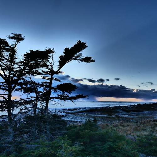 Photo #12046110