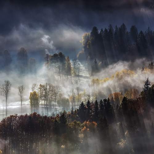Photo #12046211