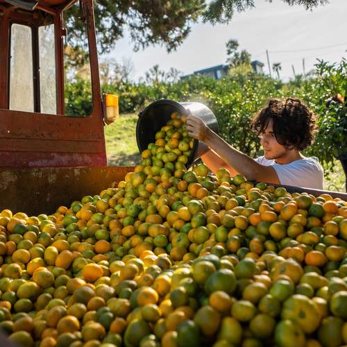 Научный урожай