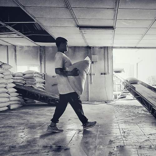 Photo #12046604