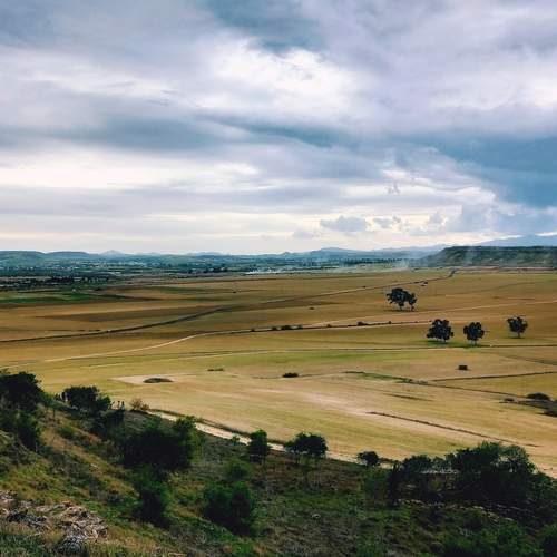 Photo #12046614