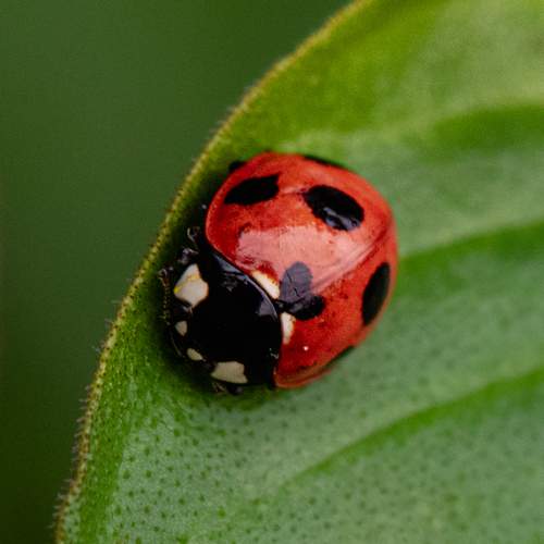 Photo #12046924