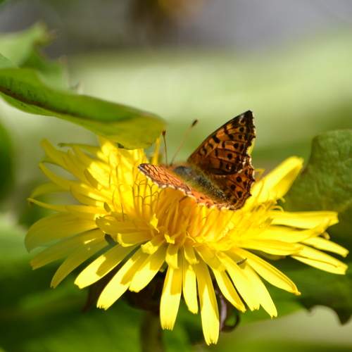 Photo #12047068