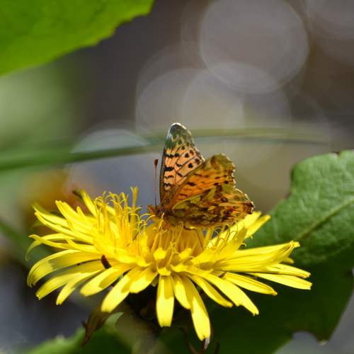 Photo #12047069