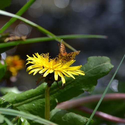 Photo #12047070