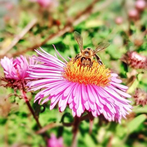 Photo #12047073