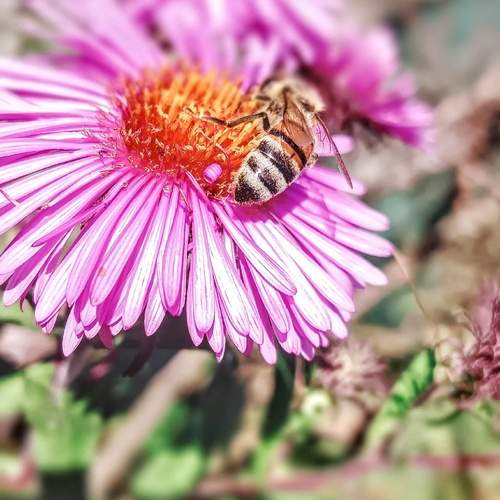 Photo #12047079