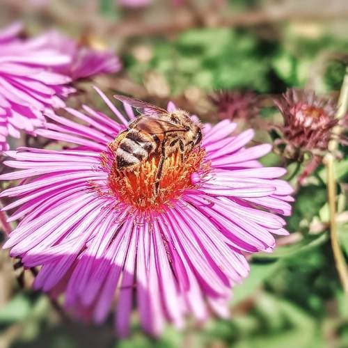 Photo #12047082