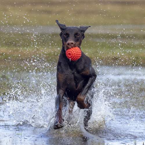 Photo #12047134
