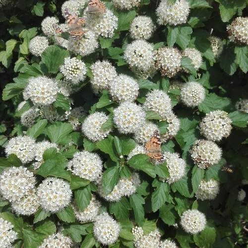 Photo #12047296