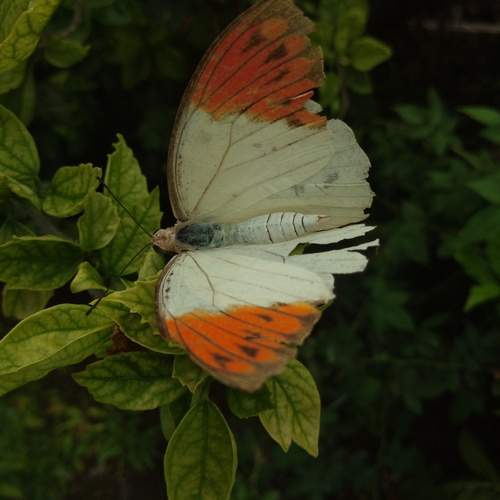Photo #12047623