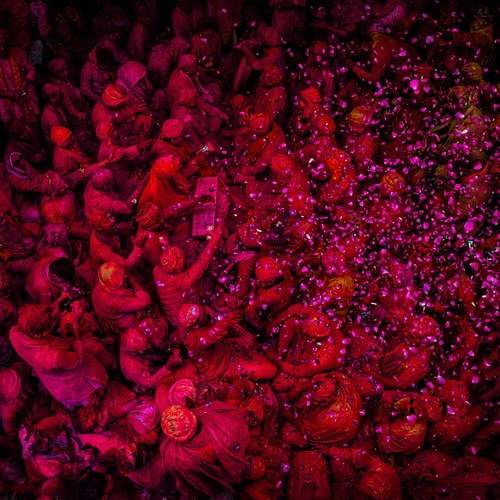 The Joy of Colours