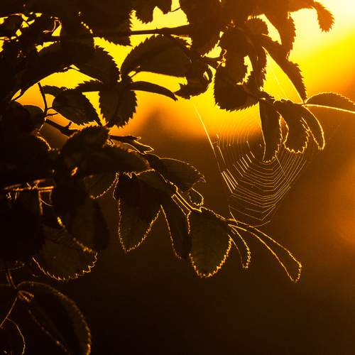 Photo #12047878