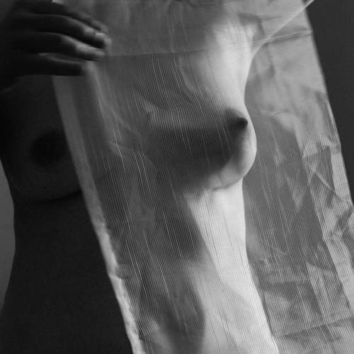 Photo #12047994