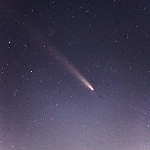 Photo #12048007