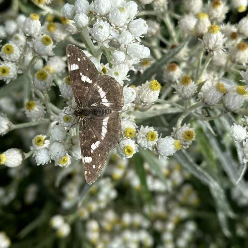 Photo #12048298