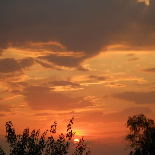 Photo #12048384