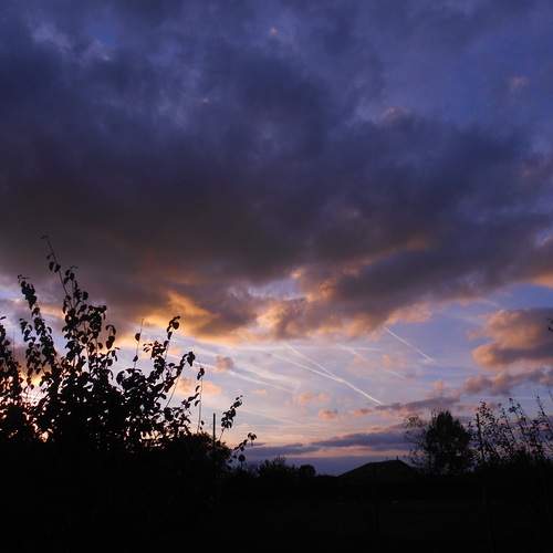 Photo #12048385