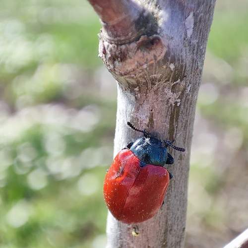Photo #12048448
