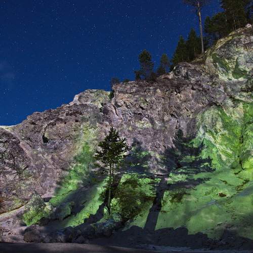 Photo #12048585
