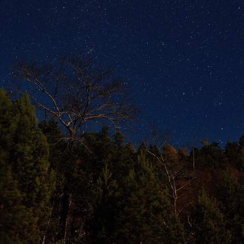 Photo #12048589