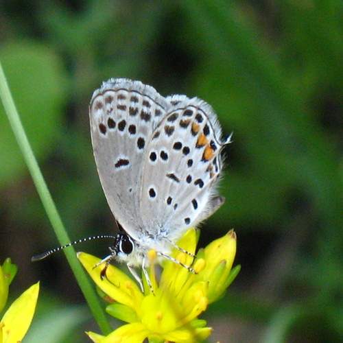 Photo #12049124